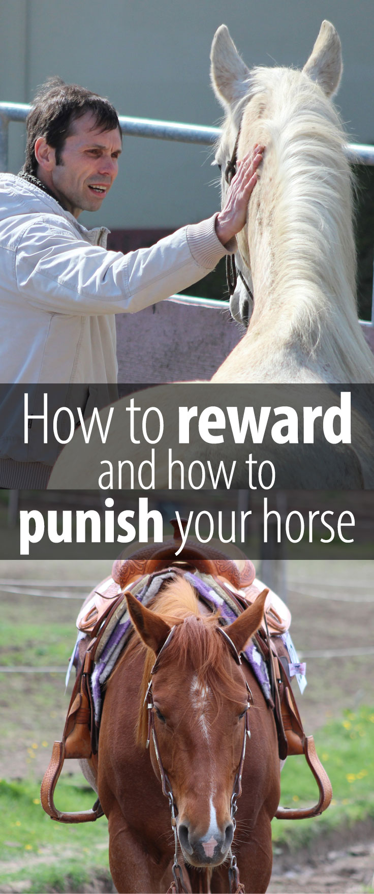 The best ways to reward or to punish your horse. So you can keep improving and your horse can stay happy.