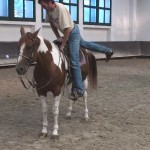 How to stop a horse from moving while mounting