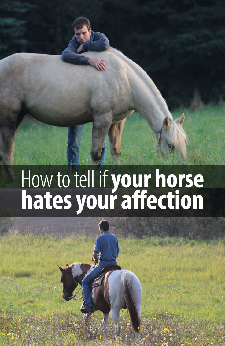 Loving your horse too much can become very frustrating for him. Here is what happened to me recently.