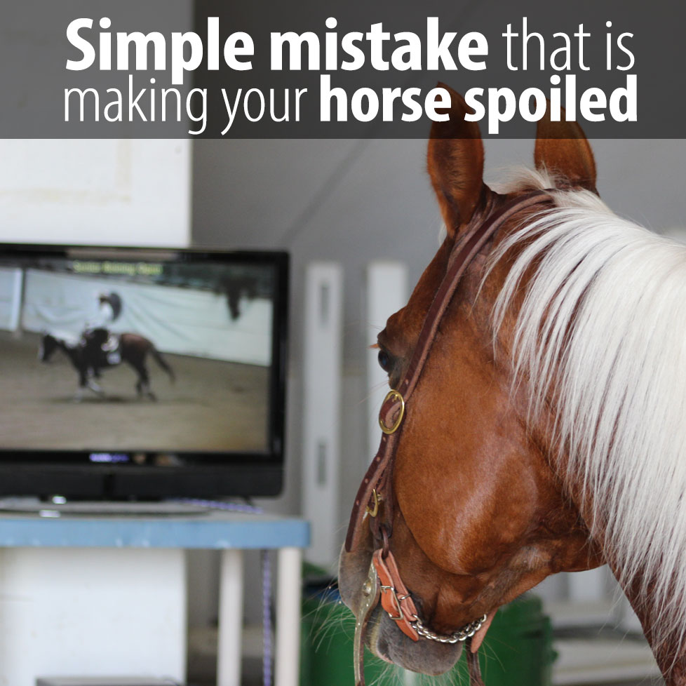 You will be surprised by the number one reason that causes horses to get spoiled