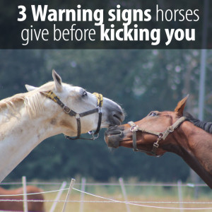 Do not get kicked again. Ever! Here is what to do to be safe while around your horse.
