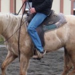 How to slow down a fast horse – 3 Rules