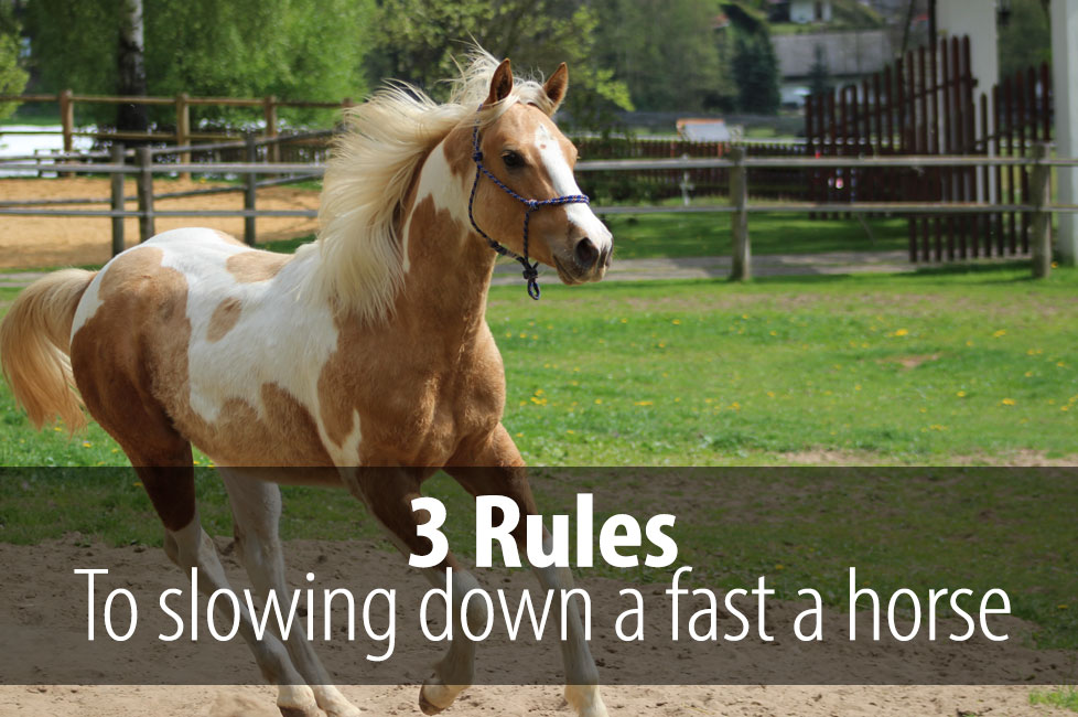 How to slow down a fast horse 3 Rules Radek Libal