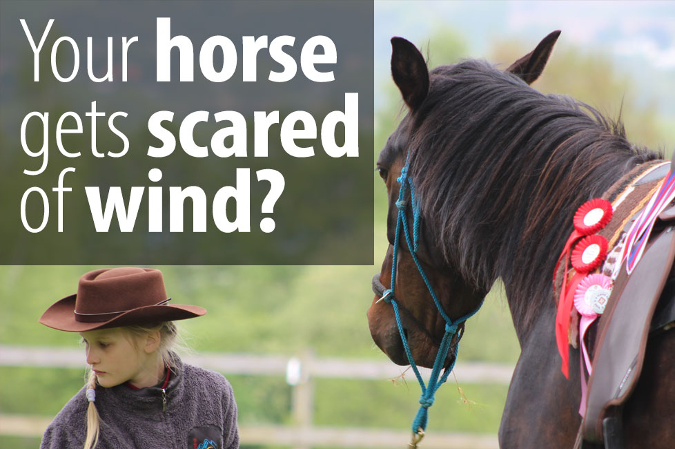 How to fix it when your horse gets spooky in the wind