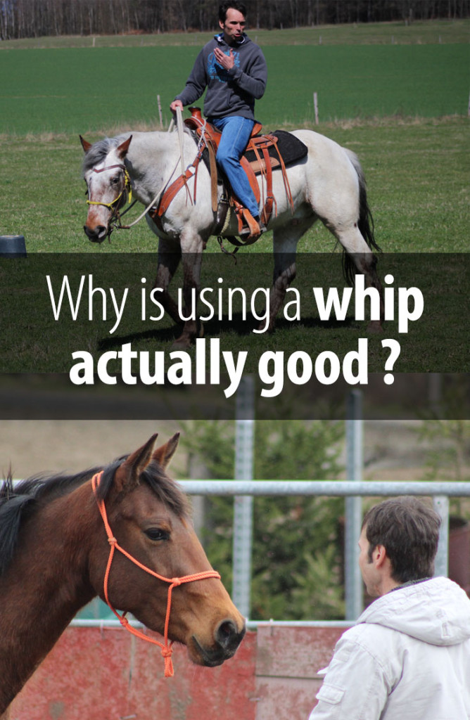 Here is when and how the whip actually should be used