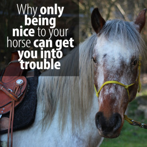 If you are going to be nice to your horse, he is going to be nice back to you right? Or is he really?