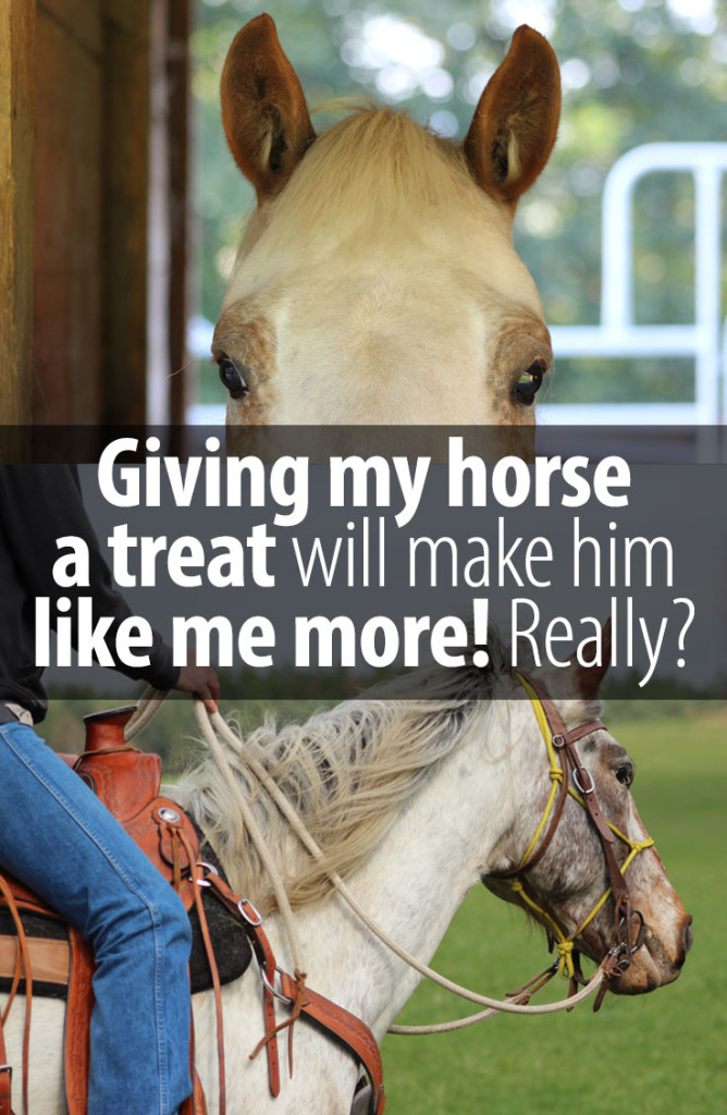 Giving your horse treats probably sends him a very different message than you think!