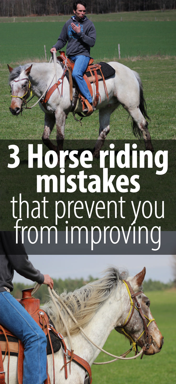 Some horse training tips everyone should keep in mind. I am sure I did every single one of them at one point or another