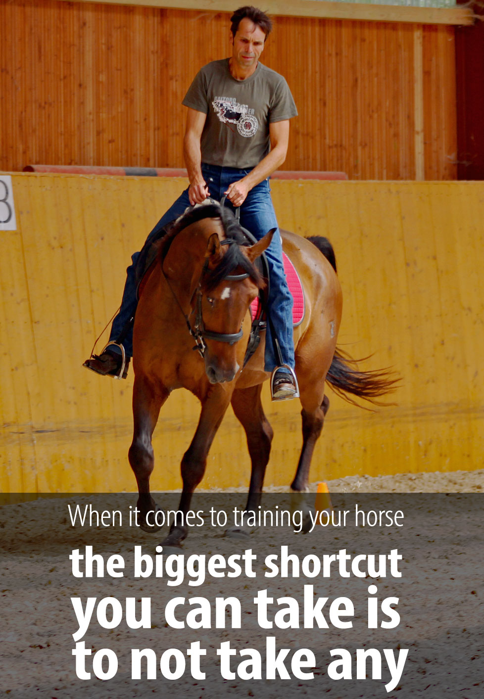 This article turned into a rant... Discover one very common mistake that spoils your horse and how to avoid it