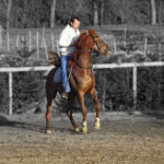 Spooky horse training tips