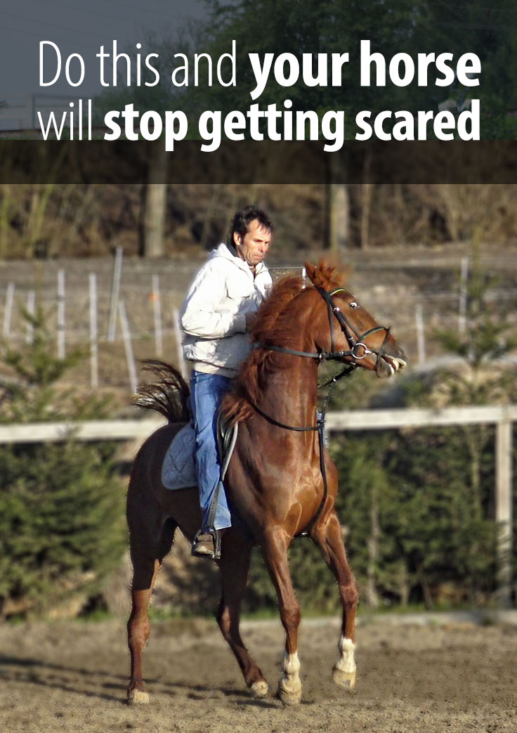 Spooky horse training tips Radek Libal