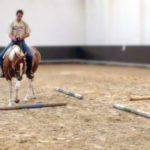 How to teach your horse something fast