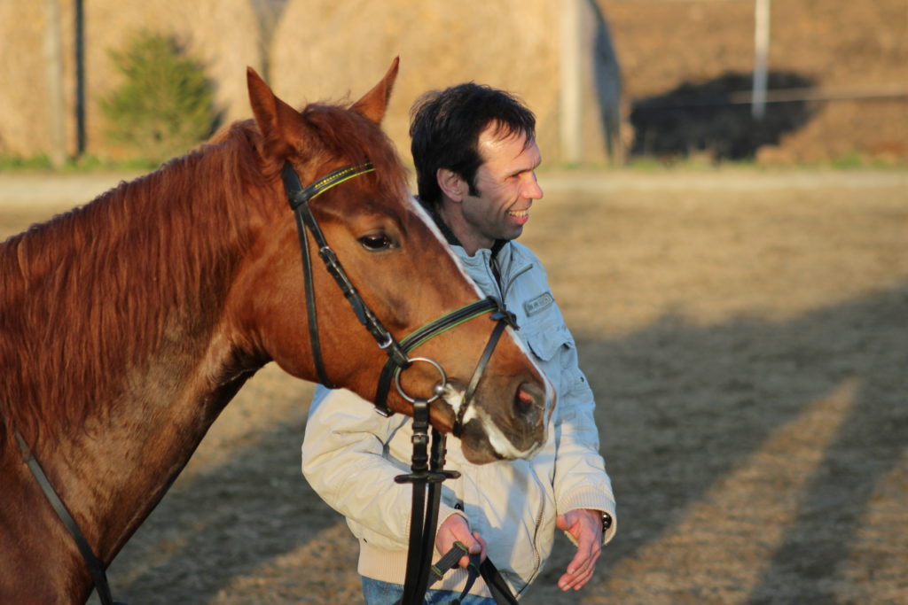 How to teach a horse to back up without pulling your reins too hard