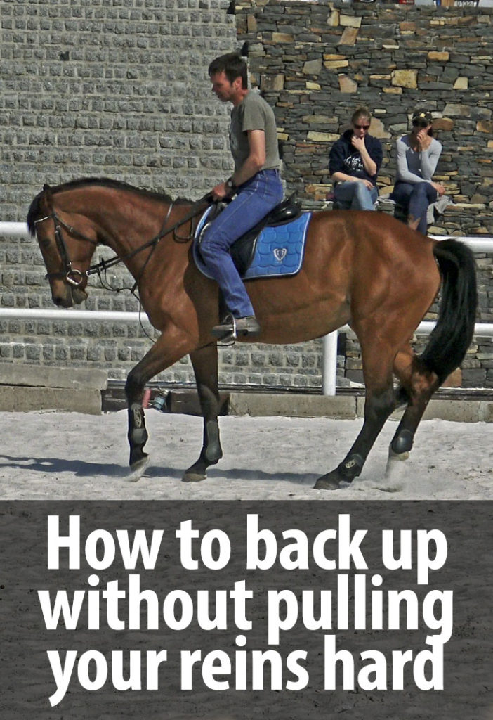 how to teach a horse to back up