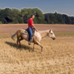 Do this 1 thing and your horse will react on much lower pressure