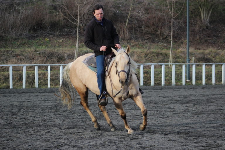 How to start a horse Exercises for the first month Radek Libal