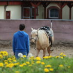 Your horse doesn’t understand you? Here is why