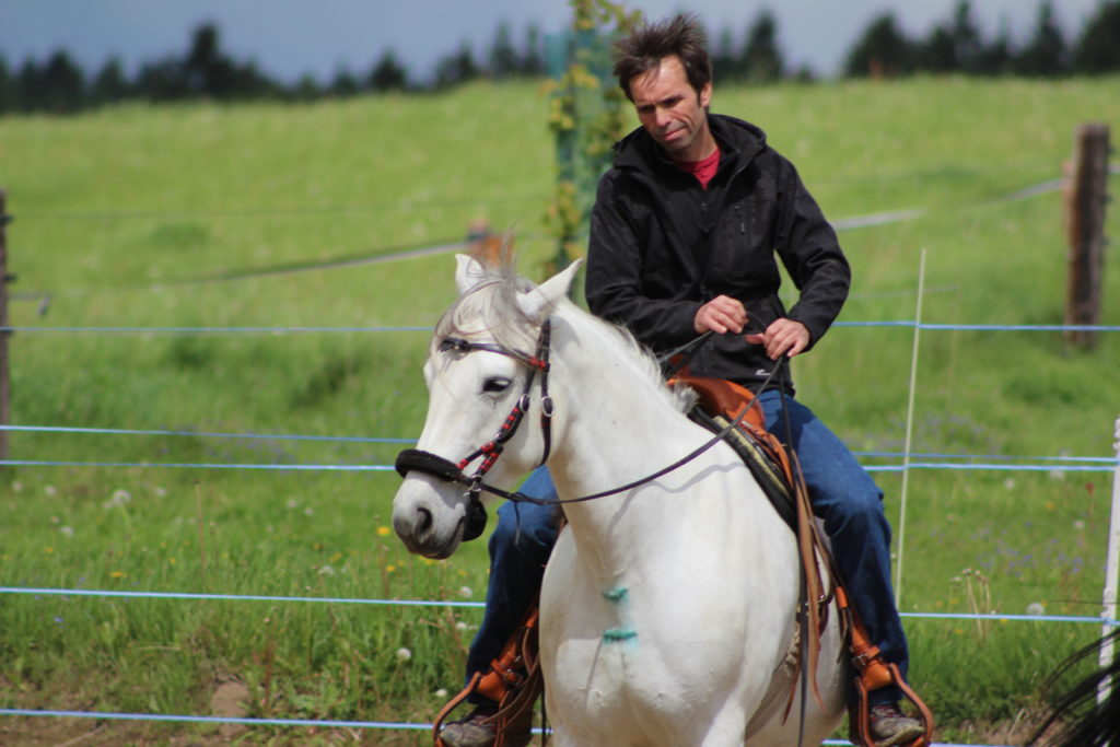 Your horse doesn't understand you? Here is why - Radek Libal