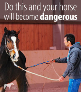 dangerous horse