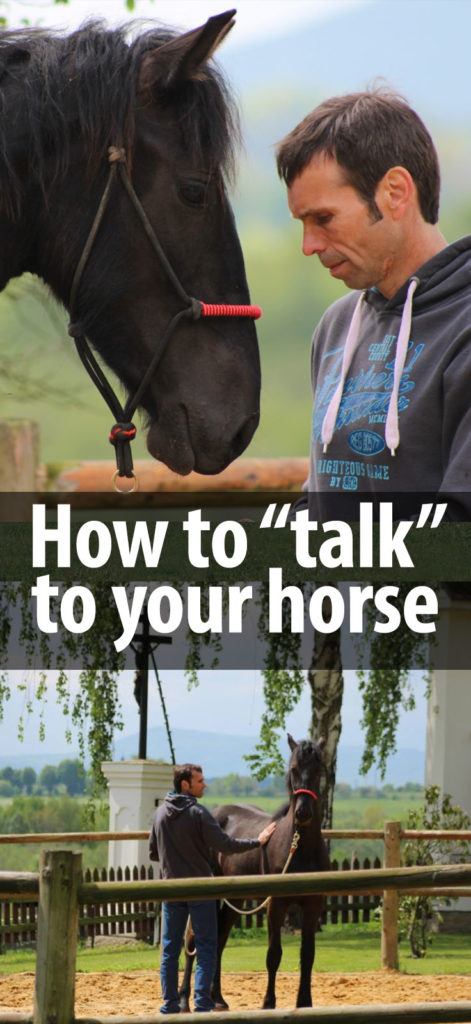 how to talk to a horse