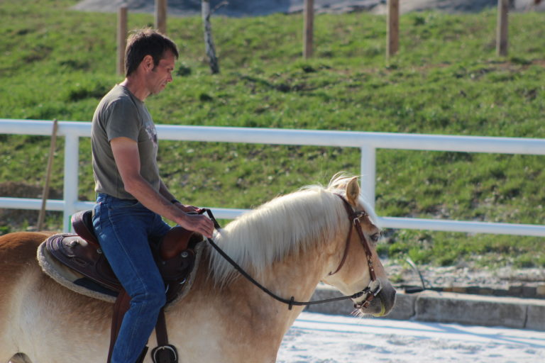 Lunging your horse Do you really need it? Radek Libal