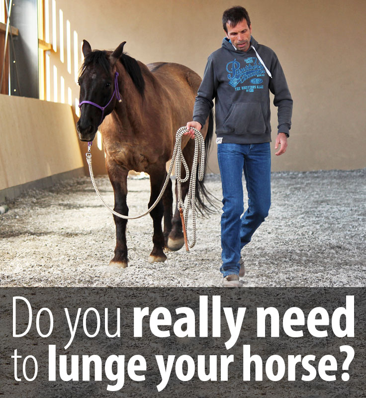 Lunging your horse Do you really need it? Radek Libal
