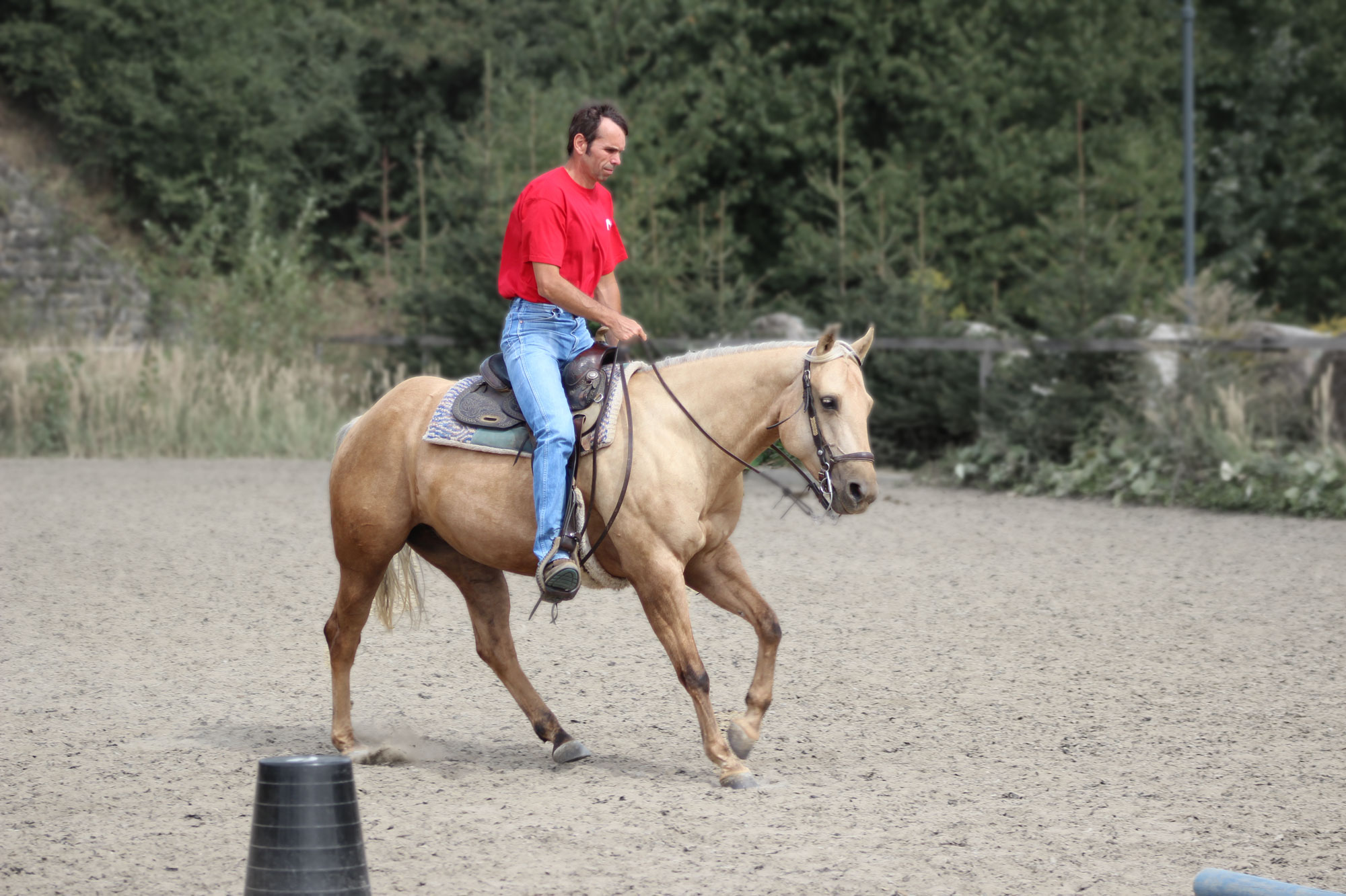 Libal 3 ways to tell you are doing something wrong around your horse - Radek ...