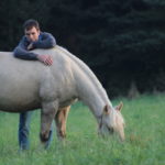 Don`t do groundwork with your horse before you read this