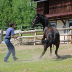 Do this and you will never have big issues with your horse
