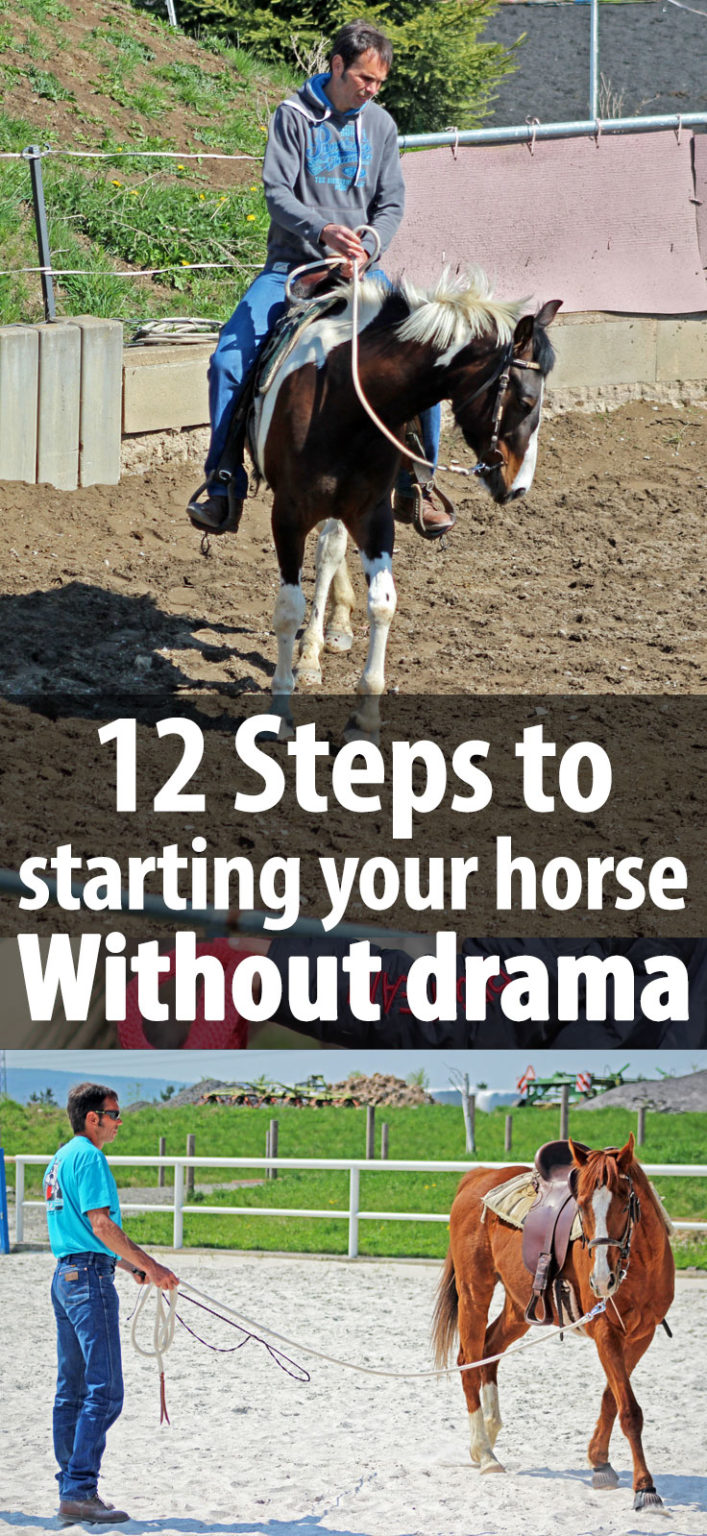 12 Steps to Starting Your Horse Without Drama Radek Libal